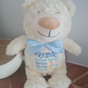 Angel Teddy