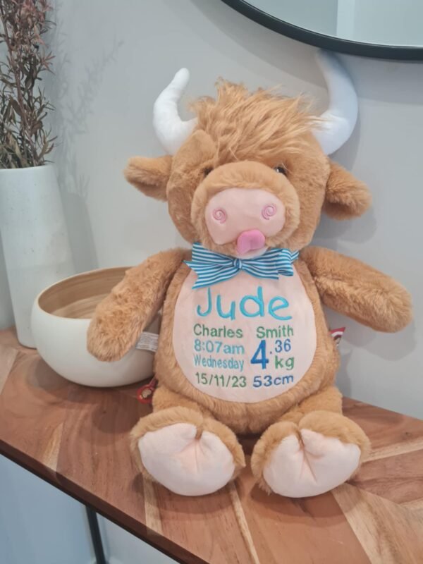 Highland Cow