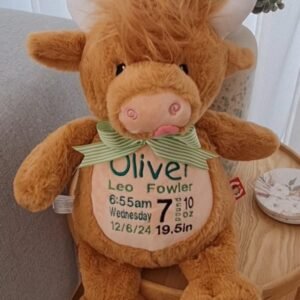 Highland Cow