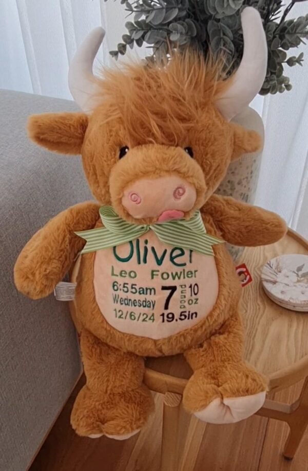 Highland Cow