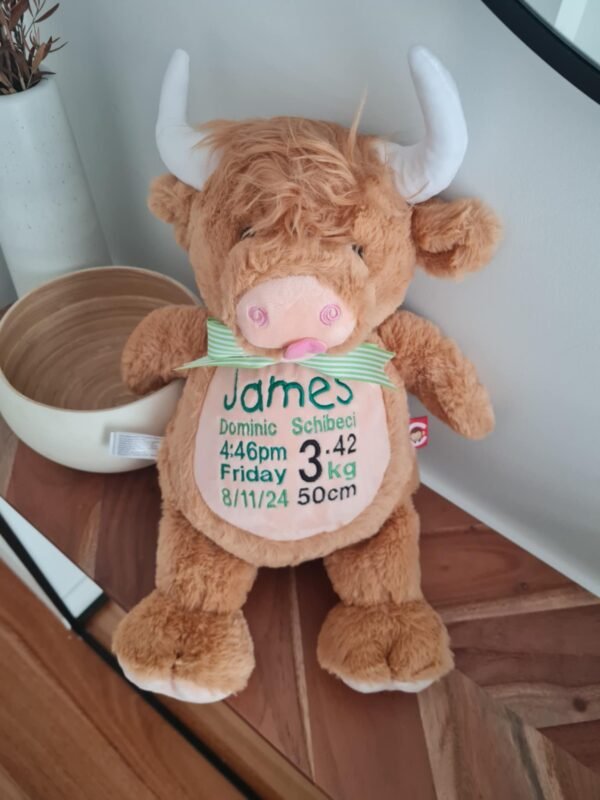 Highland Cow