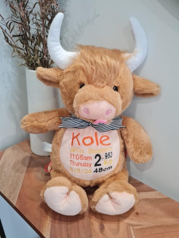 Highland Cow