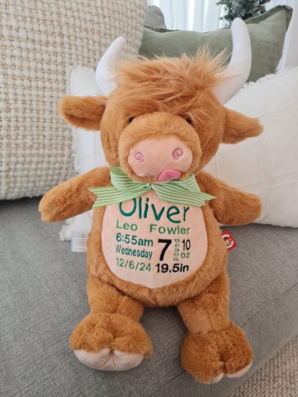 Highland Cow
