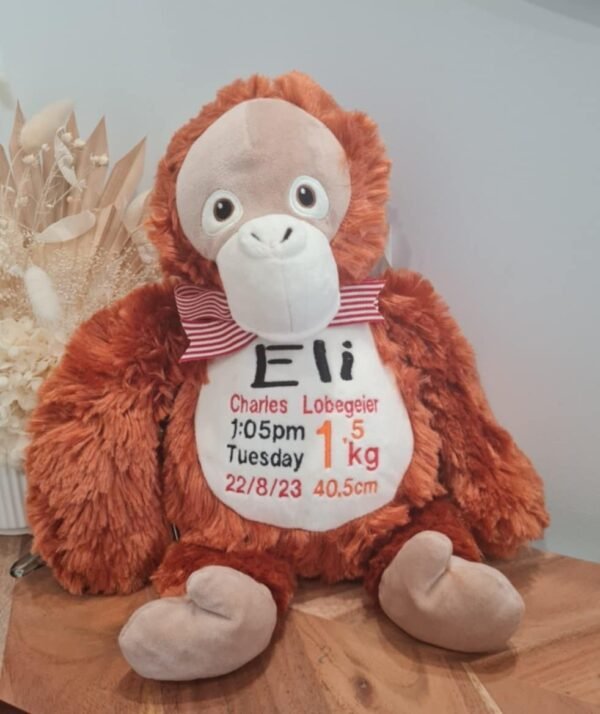 Orangutan