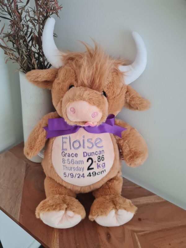Highland Cow